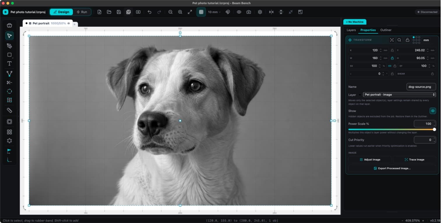 A photo imported into Beam Bench, converted to grayscale on an Image layer