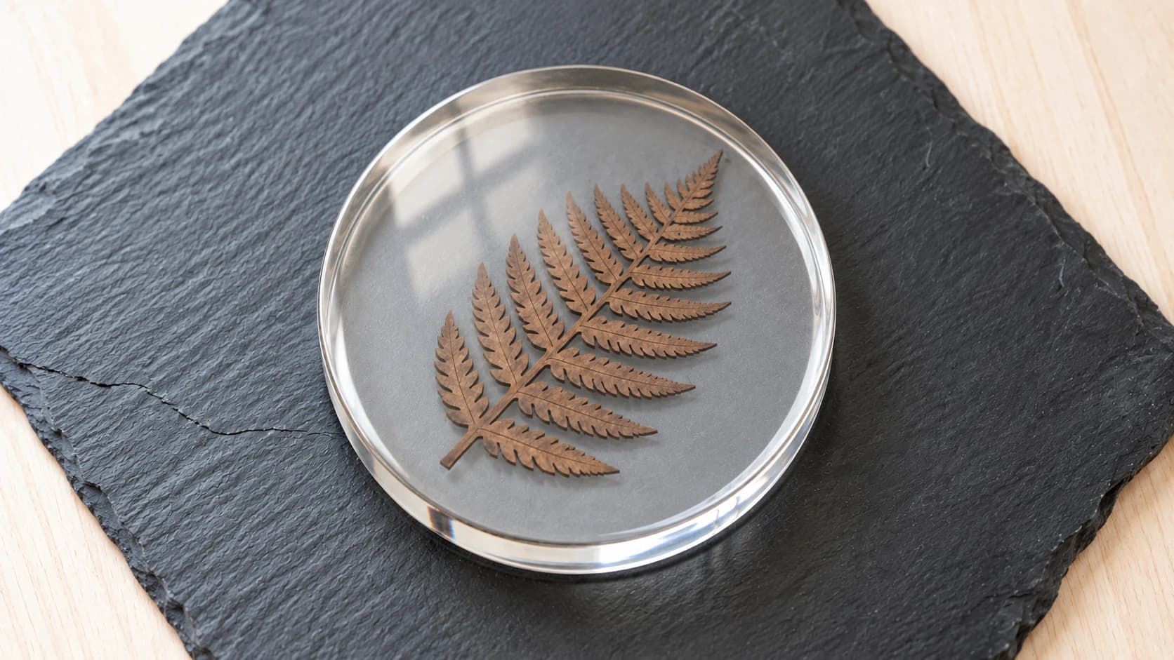 Overhead detail of the fern coaster with a continuous clear resin border around the leaves and stem