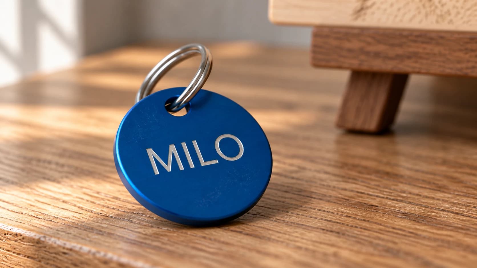 The same blue MILO pet tag with a real split ring through its hole